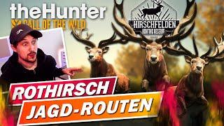 Rothirsche auf Hirschfelden! the Hunter Call of the Wild deutsch Tipps