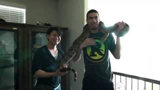 YooLotto Advetisement featuring Danny Green - Spurs NBA Player.