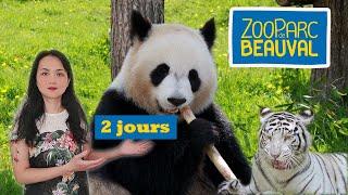 Vlog Zoo de Beauval : Week-end et séjour à l'hôtel Les Pagodes de Beauval