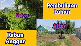 Persiapan dan Pembukaan Lahan Baru untuk Kebun Anggur Import