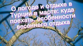 О погоде и отдыхе в Турции в марте: куда поехать, особенности весеннего отдыха