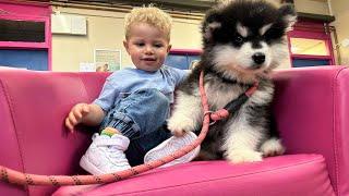 Adorable Little Boy Takes His Puppy To The Vet For First Time! (Cutest Ever!!)