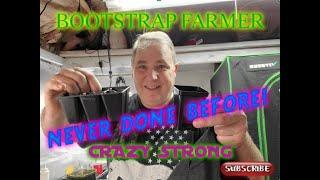 Best Seed Starting Trays! Bootstrap Farmer Tested To The Limit!