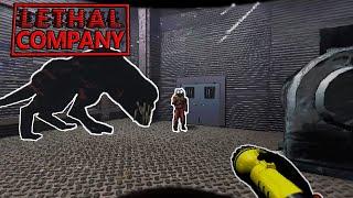 I LOVE THIS GAME - Lethal Company: funny moments