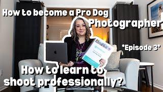 How-To Become a Professional Dog Photographer: EPISODE 3 My Top Dog Photography Education Resources