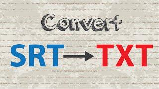 How to convert SRT to TXT format