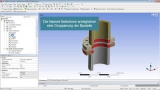 Verwendung von Named Selections in ANSYS Workbench™ v14.5