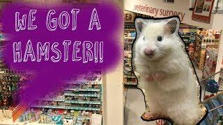 Adopting a New Hamster? | Shopping In Pets At Home & Ikea