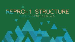 RePro 1 Structure Walkthrough