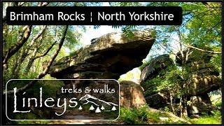 Brimham Rocks ¦ North Yorkshire ¦ Exploration around the wonderful geologic features