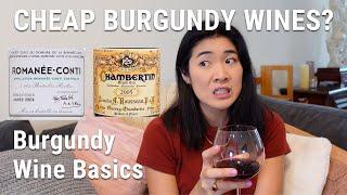 How to Buy Burgundy Wines Without Emptying Your Bank Account | Beginner's Guide to French Wine