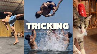 Tricking camp ( 2024 )