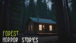 3 TRUE Chilling Exploring Forest Horror Stories