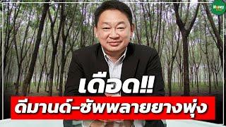 เดือด!!ดีมานด์-ซัพพลายยางพุ่ง - Money Chat Thailand : ชูวิทย์ จึงธนสมบูรณ์