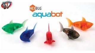 HEXBUG Aquabot Smart Fish & Tank Toy Review, Innovation First Toys