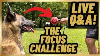 LIVE Q&A // The FOCUS Challenge! 8/23/24