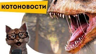 CATNEWS #1 Found a new dinosaur!