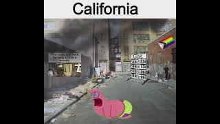 California: What kind of place is this Patrick