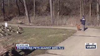 Protecting pets against risk for Bird Flu in Northern Illinois