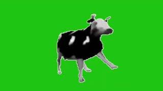 Polish cow meme | GREEN SCREEN