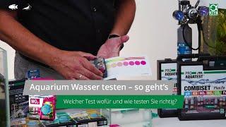 JBL TV #27: Aquarium Wasser testen – so geht‘s