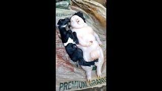 Farmer’s goat gives birth to ‘half-pig half-human’ creature