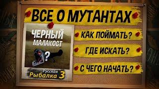 Как Поймать Мутанта. Русская Рыбалка 3. Все ответы за 26 минут.