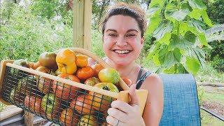 Huge Heirloom Tomato Harvest and Variety Review | Roots and Refuge Farm