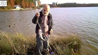 Uncle Steve Gets Fall Cats At Lake Crabtree