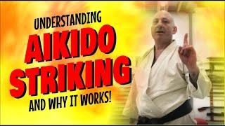 Understanding AIKIDO STRIKING and why it works | Marcus Encel sensei