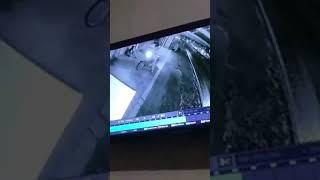 Viral Mesum di pinggir Jalan Pekalongan Terekam CCTV