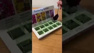 Setting up our Butterfly Garden Eco Grow Kit #asmr #shorts