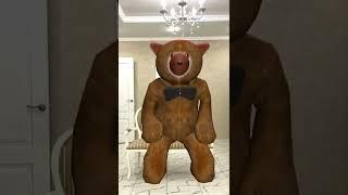 SCP 1048 bear in real life