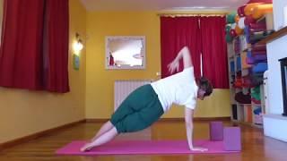 5 minute Beginners Vinyasa Yoga sun salutation sequence.