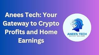 Anees Tech | Your Gateway to Crypto Profits and Home Earnings