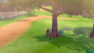 How to find additional Sweet Apples and Tart Apples in Pokémon Sword and Shield