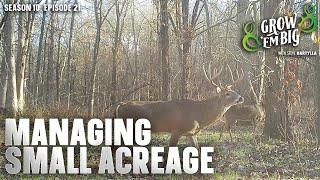 Improve Your Deer Hunting on a Small Property