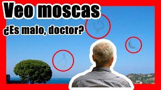 Moscas volantes