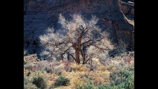 Landscape photographer races to finish decades of work