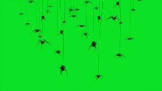  Glitch Spiders Halloween Overlay Green Screen Footage 4K NO COPYRIGHT 