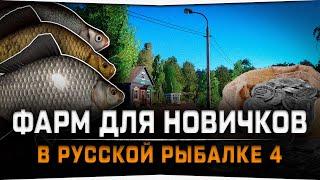 Как и где фармить новичку в Русской Рыбалке 4 на Комарином озере?