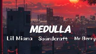 MEDULLA (Lyrics) - Lil Maina ft Soundcraft & Mr Berry LYRICS