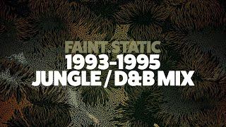 1993 - 1994 - 1995 Jungle / Drum & Bass Mix