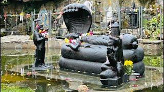 A day in Skanda vale with Family | Hindu Temple | wales