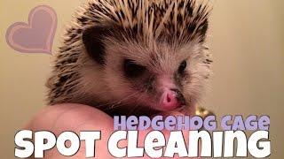 Hedgehog Cage Spot Cleaning Routine || Midwest Critter Nation