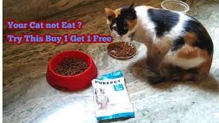 Purepet Kitten Cat Food Review