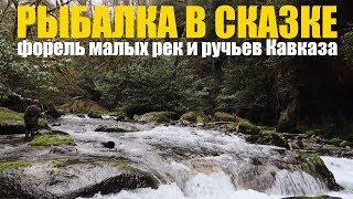 За форелью на Кавказ. РЫБАЛКА на МАЛЫХ РЕКАХ и РУЧЬЯХ.