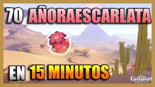 DONDE ENCONTRAR AÑORAESCARLATA - UBICACIÓN | SUMERU - RUTA FARMEO LOCALIZACIÓN | GENSHIN IMPACT