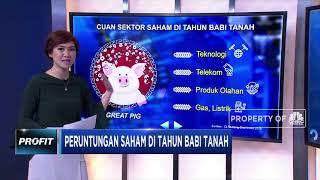 Cuan Bisnis Tahun Babi Tanah