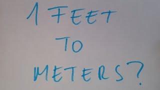 1 feet to meters?